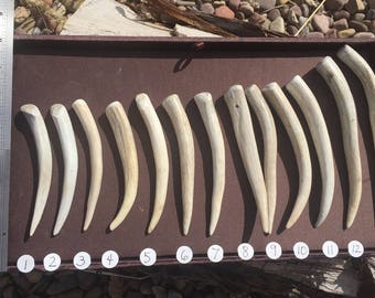 Deer Antler Hair Stick 4.5" - 7" / Montana Shed Antler / Rustic / Boho Chic / Huntress