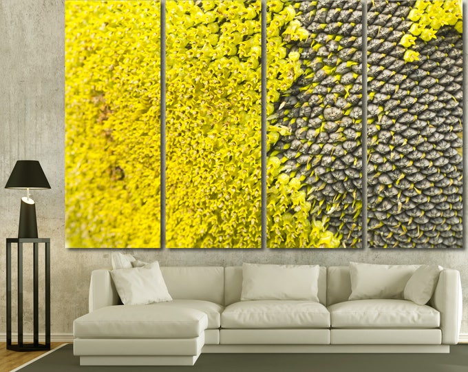 Large yellow sunflower macro photography wall art print set of 3 or 5 panels, large sunflower print flower photography canvas wall decor set
