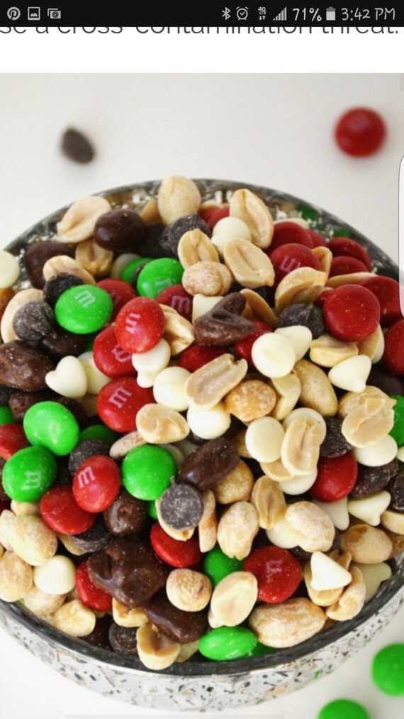 8.5oz Holiday Trail Mix Jar Gift Shower Favor