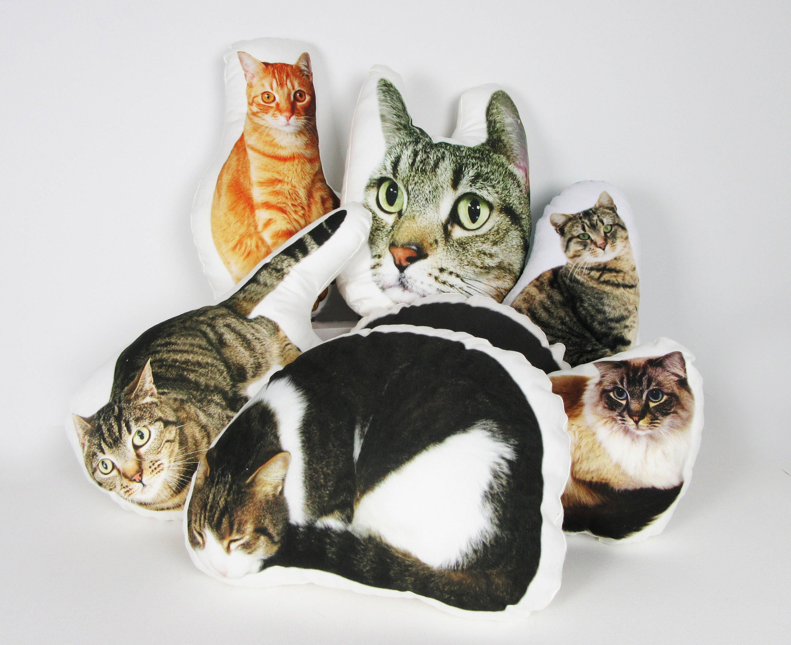 cat picture on pillow