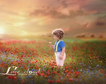 Digital Backdrop background magic flower Field sky sunset meadow Digital Photography prop / 150