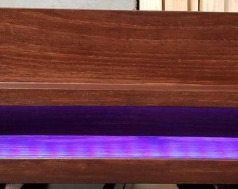 Gamer Shelf with remote case display.