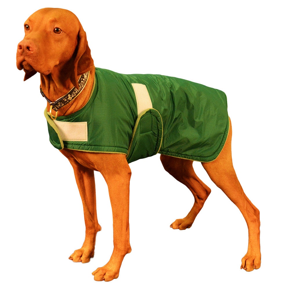 Vizsla Winter Coat custom made just for your dog with by madebyde