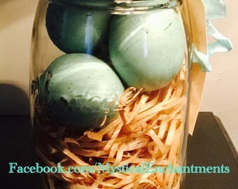 Quart Heritage Mason Jar Robins nest with eggs