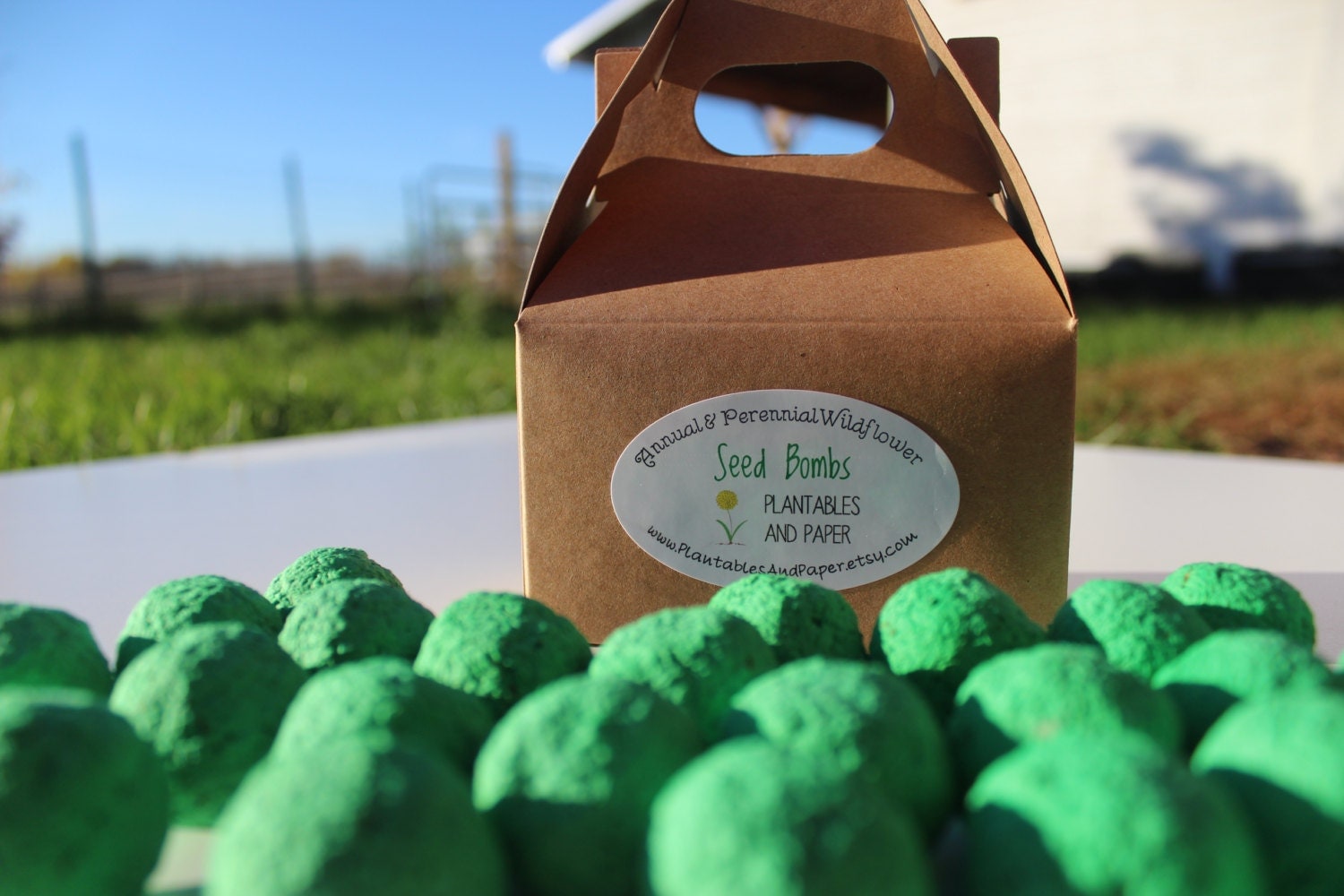 Wildflower seed bomb gift/favor small gable box packaging