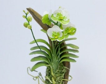 1/12 scale Miniature Vanda orchid flower for dollhouse