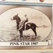 Pink Star Derby