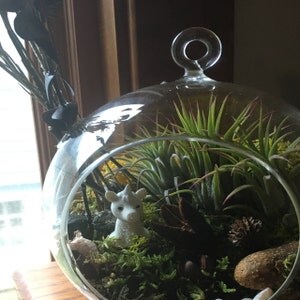 Buyer photo Rachael Blais, who reviewed this item with the Etsy app for iPhone.