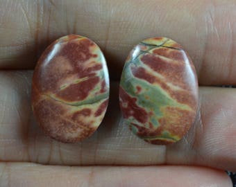 Cherry Creek Jasper Cabochon Pair