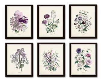 Nature Study Collage No. 23 Botanical Print Set Art Giclee