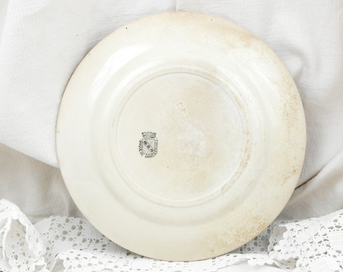 Antique French Dessert Plate Ceramic Plate Hand-painted Flower Pattern, Sarrguemines Digoin, French Country Decor, Vintage Home, Retro Decor