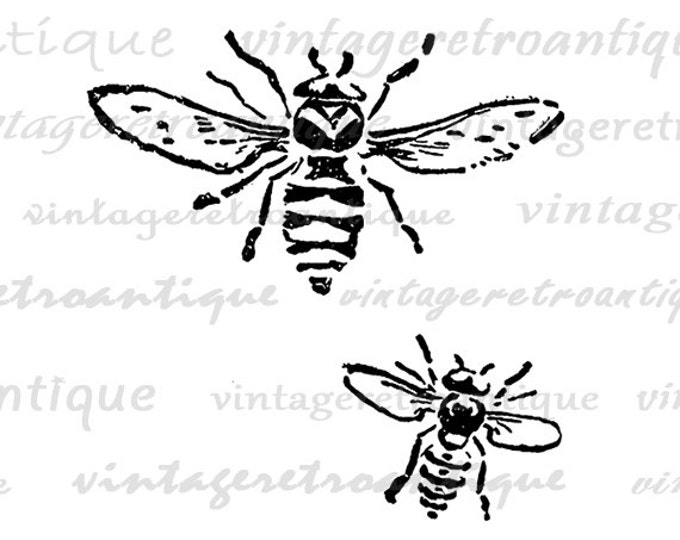 Printable Bee Art Digital Bees Print Graphic Insect Bug Art Bee Illustration Digital Download Vintage Clip Art Jpg Png Eps HQ 300dpi No.1564