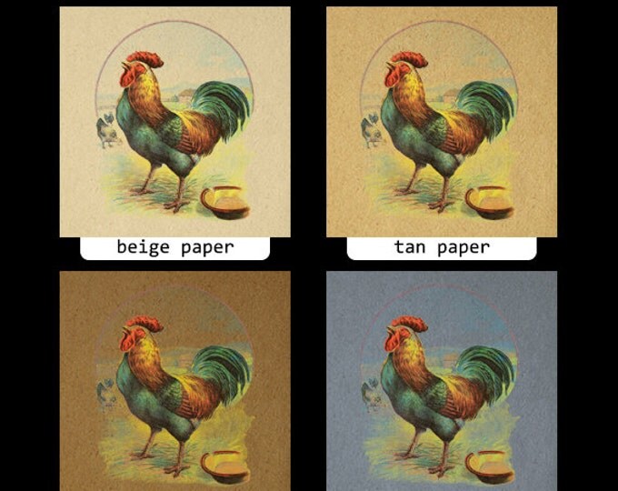 Rooster Digital Graphic Printable Image Color Illustration Download Vintage Clip Art HQ 300dpi No.2074