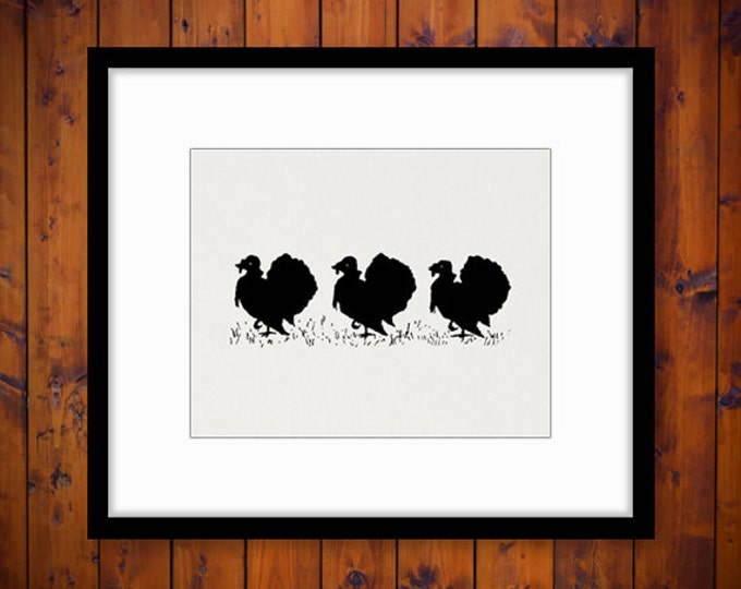 Digital Image Three Turkey Silhouettes Graphic Thanksgiving Printable Download Vintage Clip Art Jpg Png Eps HQ 300dpi No.3266