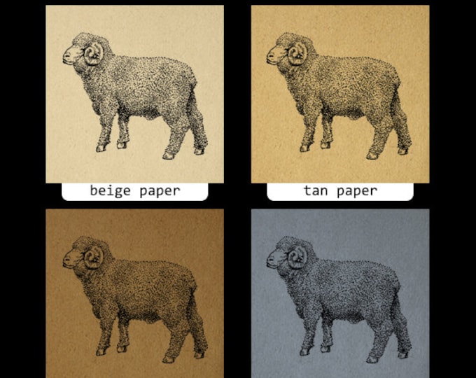 Little Merino Ram Sheep Image Printable Download Cute Animal Graphic Digital Antique Clip Art Jpg Png Eps HQ 300dpi No.3538