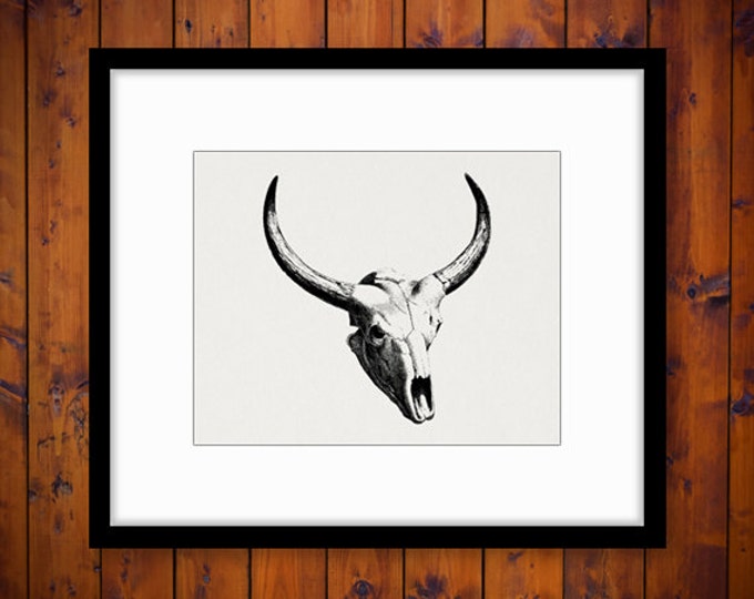 Printable Bull Skull with Horns Graphic Digital Cow Download Western Image Vintage Clip Art Jpg Png Eps HQ 300dpi No.554