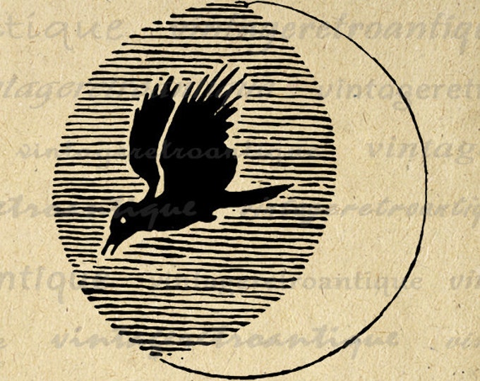 Printable Digital Moon Bird Image Night Graphic Download Vintage Clip Art Jpg Png Eps HQ 300dpi No.856