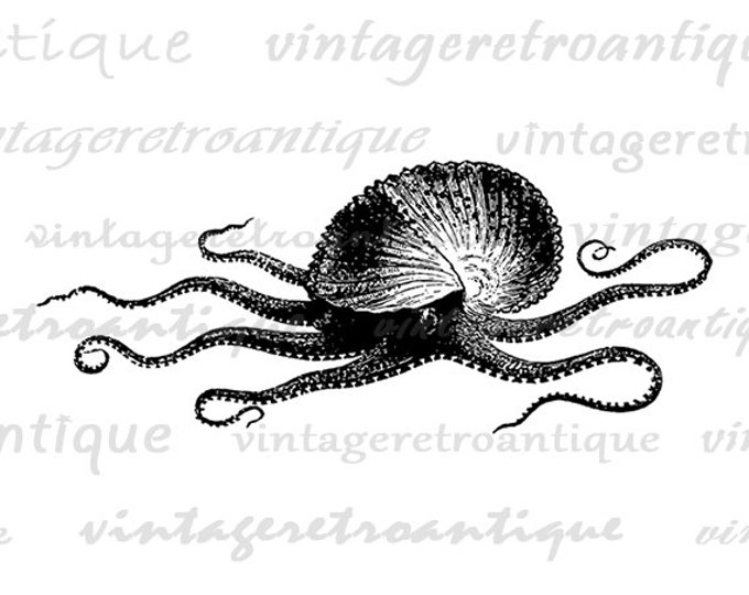 Printable Image Paper Nautilus Download Octopus Squid Graphic Digital Antique Clip Art Jpg Png Eps HQ 300dpi No.2715