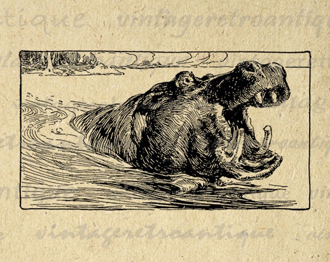 Digital Image Antique Hippo Printable Hippopotamus Graphic Download Vintage Clip Art Jpg Png Eps HQ 300dpi No.3026