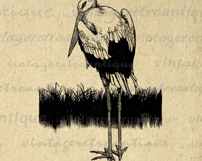 Digital Printable Stork Graphic Illustration Download Bird Image Antique Clip Art Jpg Png Eps HQ 300dpi No.3856