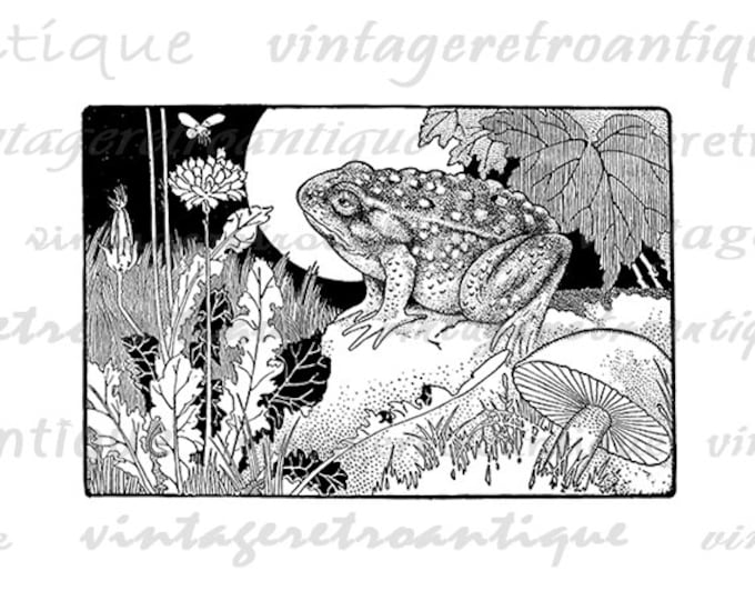 Digital Graphic Frog and Mushroom Illustration Printable Download Image Vintage Clip Art Jpg Png Eps 18x18 HQ 300dpi No.802