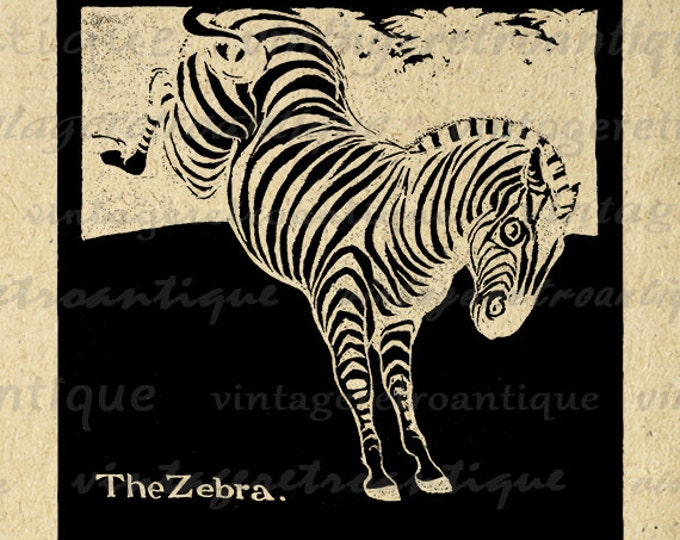 Printable Image Zebra Illustration Graphic Digital Download Antique Clip Art Jpg Png Eps HQ 300dpi No.3368