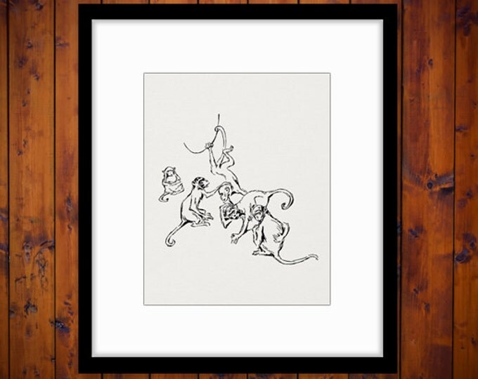 Monkeys Digital Image Download Printable Graphic Vintage Clip Art Jpg Png Eps HQ No.2878