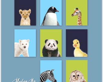 Animal Art Animal Nursery Print Zoo Animals by ModernMixDesigns