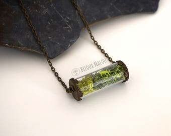 Real Moss Specimen Tube Necklace Glass Terrarium Necklace Eco Jewellery Gift Nature Woodland Spring Jewellery Test Tube Necklace