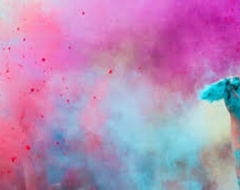 Gender Reveal loose holicolor canister for gender reveal- gender reveal powder- gender reveal chalk