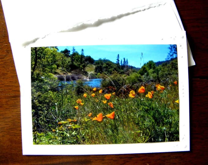 POPPIES along the American River Greeting Card created by Pam of Pam's Fab Photos, Handmade Blank Stationary, Coordinating Envelopes