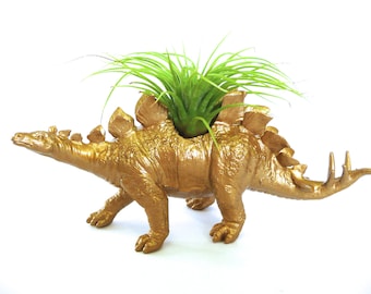 Gold Stegosaurus Dinosaur Planter with Air Plant