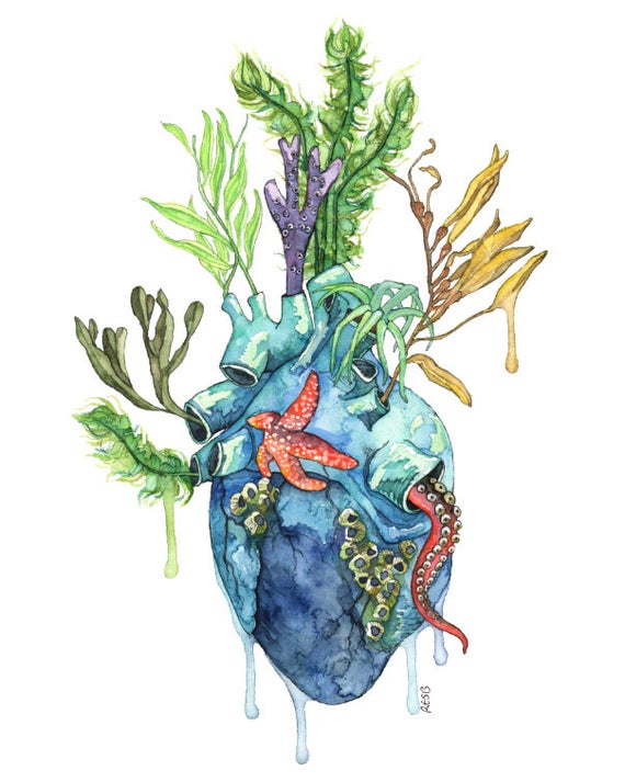 watercolor heart sketch