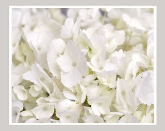 Hydrangea Wall Art white hydrangea art | etsy Hydrangea Wall Art white hydrangea art | etsy