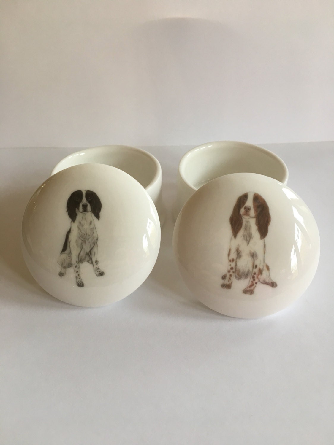 small springer spaniel trinket box small springer spaniel trinket box