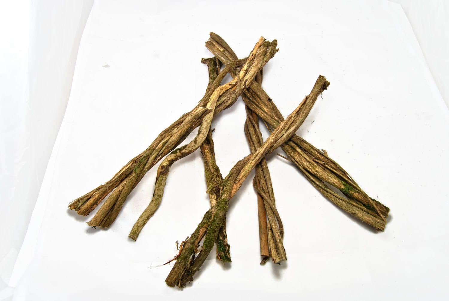 Twisted branches for terrarium vivarium or home decor.curly