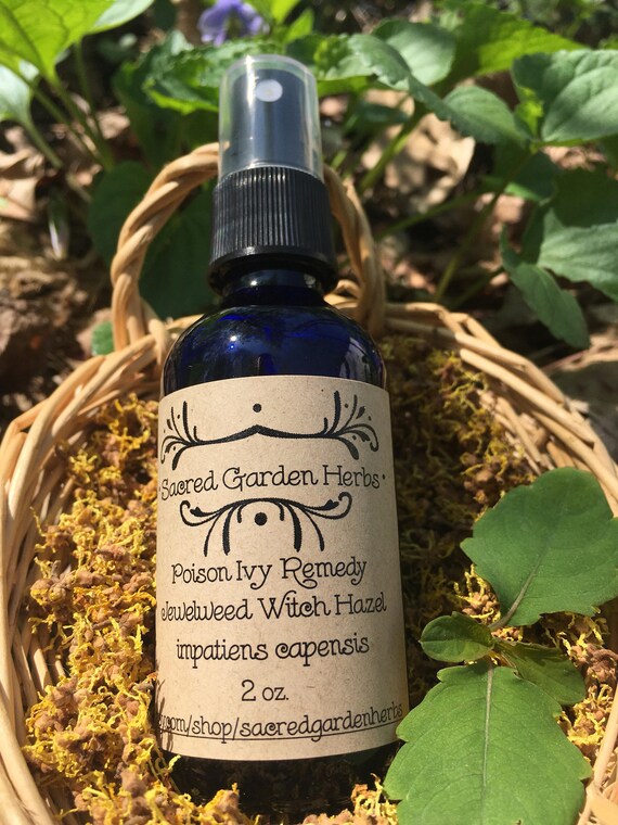 Poison Ivy Remedy Jewelweed Witch Hazel