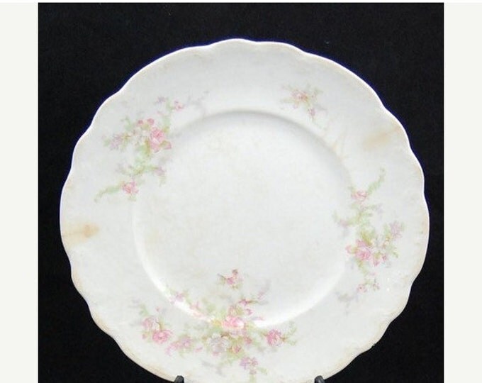 Storewide 25% Off SALE Antique Homer Laughlin Company Matching Set Of Fine China Dinner Plates in Original "C2N" Pattern Featuring Hand Pain