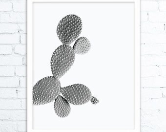 Cactus, Botanical Print, Garden Art, Cactus Print Art, Desert Photography, Garden Decor, Cacti Print, Cactus Decor, Southwestern Art, Nature