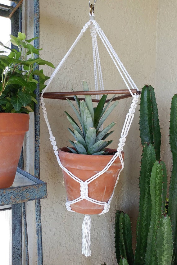 DIY Pineapple Growing Kit Includes Handmade Macrame Plant