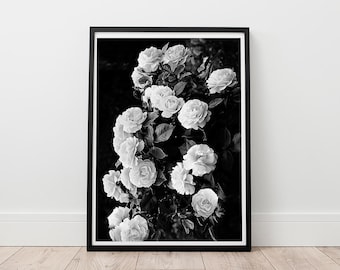 Rose Print - Roses Photography, Black and White Wall Art, Boho home decor, Floral Prints, Instant download, Garden Rose Print, Chic Art