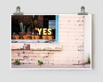 Yes Cactus Marfa Texas Fine Art Photograph