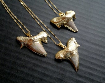 Gold Plated Shark Tooth Necklace Real Shark Tooth Jewelry Gold Shark Necklace Tooth Pendant Tribal Necklace Tribal Jewelry Shark Jewelry