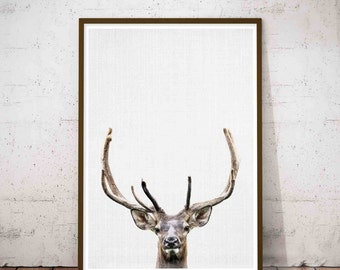 Christmas Deer, Deer Print, Hunting Gifts, Safari Baby Animals, Hunting Gift For Him, Deer Wall, Vinyl Hunting Decals, Antler Wall Decor