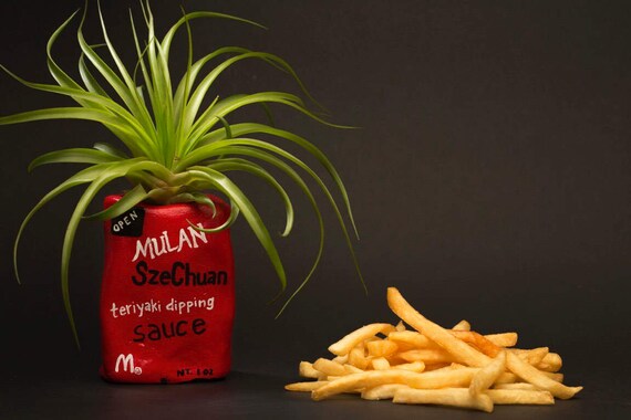 MULAN SZE CHUAN planter