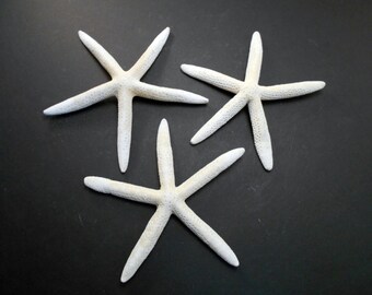 Set of 3 White Finger Starfish 6" - 8" Beach Weddings Crafts Coastal Decor Nautical