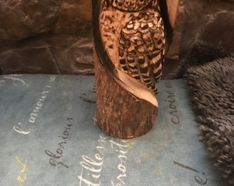 Chainsaw carving Baby owl in a log wood carving