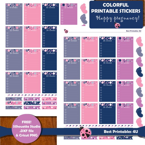 Pregnancy Planner Stickers Printable Milestones Planner