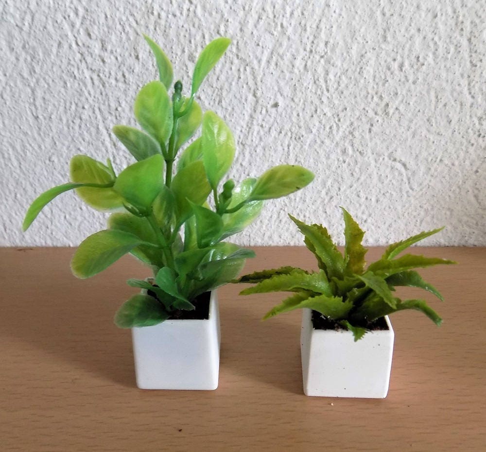 Dollhouse Miniature Dollhouse Plants Green Plants for