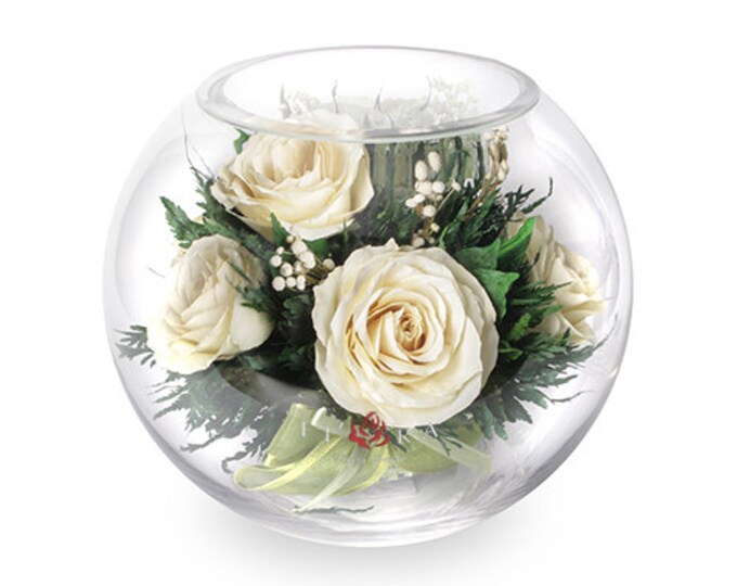 Ivory roses in a vase large round